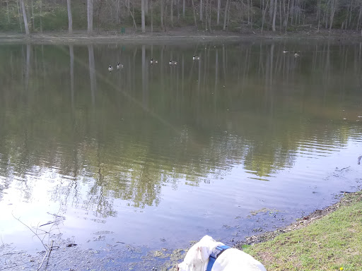 Park «Louise F Cosca Regional Park», reviews and photos, 11000 Thrift Rd, Clinton, MD 20735, USA