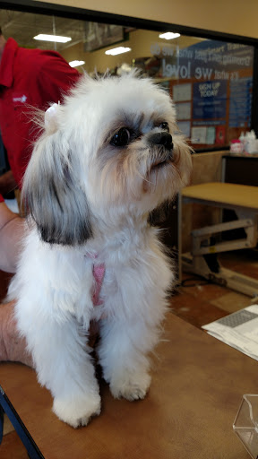 Pet Supply Store «PetSmart», reviews and photos, 640 W 300 N, Warsaw, IN 46582, USA