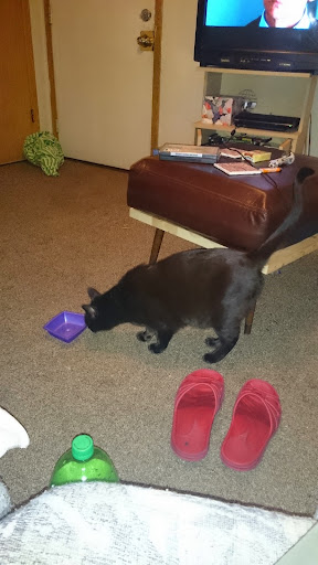 Self-Storage Facility «Safe Harbor Self Storage», reviews and photos, 3947 State St, Salt Lake City, UT 84107, USA