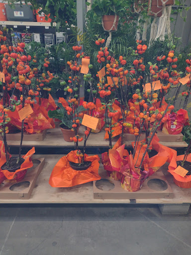 Home Improvement Store «The Home Depot», reviews and photos, 601 Woollomes Ave, Delano, CA 93215, USA