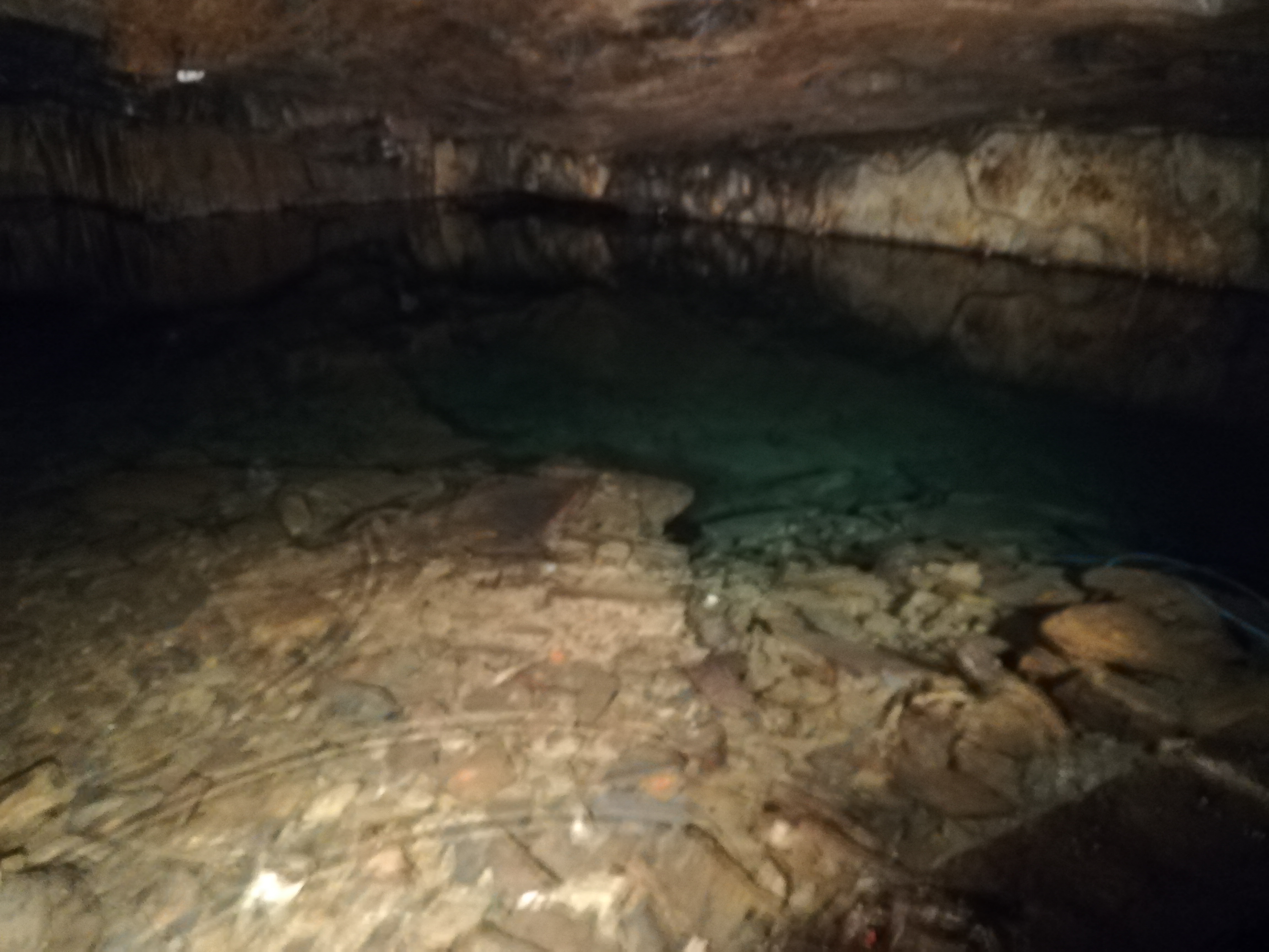 Photo n° 2 de l'avis de marienoelle.u fait le 06/03/2023 à 11:23