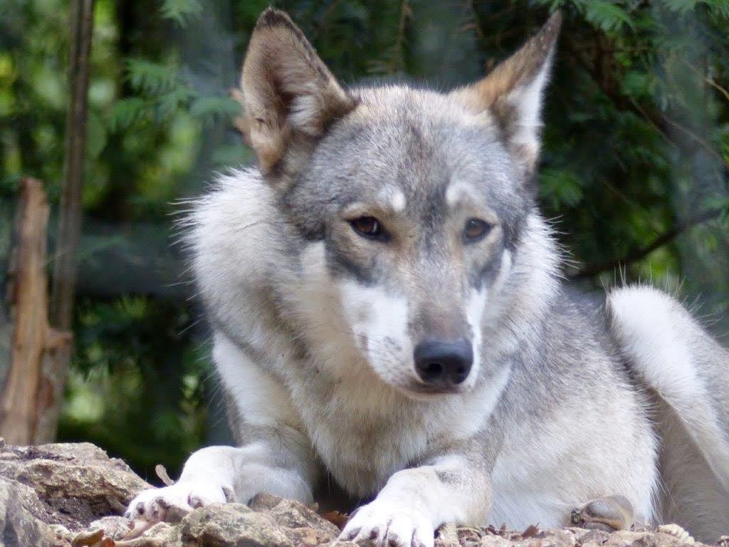 Photo n° 5 de l'avis de Nathalie.. fait le 17/08/2022 à 20:25