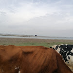 Photo n°1 de l'avis de Marca.r fait le 14/09/2022 à 17:24 sur le  Agriturismo Le Saline à Lio Piccolo