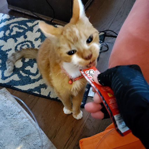 46 Woronoco Rd, Blandford, MA 01008, USA