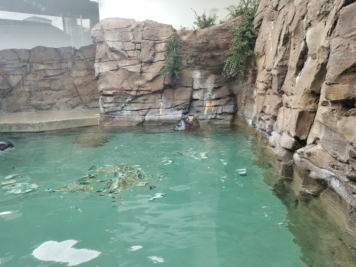 Gift Shop «Seattle Aquarium Gift Store», reviews and photos, 1483 Alaskan Way, Seattle, WA 98101, USA