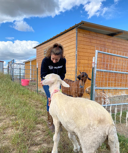 Car Dealer «Fairfield Chevrolet Subaru», reviews and photos, 2501 Martin Rd, Fairfield, CA 94534, USA