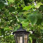 Photo n°19 de l'avis de Michael.t fait le 11/07/2021 à 09:41 sur le  Rheinhotel Vier Jahreszeiten à Bad Breisig