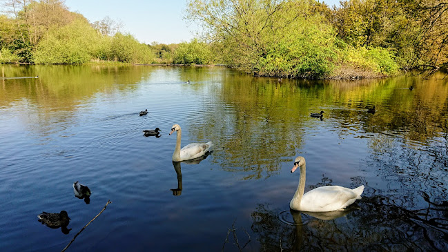 Reviews of Allestree Park Lake in Derby - Association