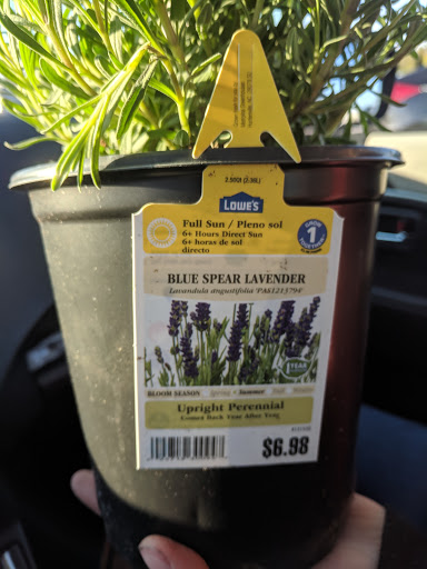 Shopping Mall «Stafford Square Mall», reviews and photos, 297 NJ-72 #35, Manahawkin, NJ 08050, USA