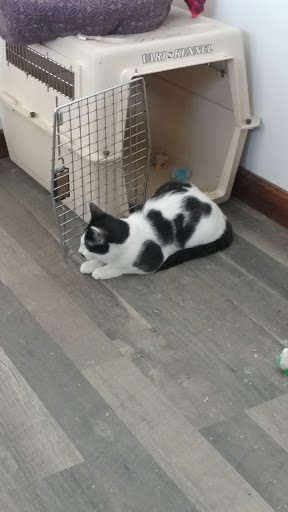 Pet Store «Next to Nature», reviews and photos, 1624 Tacoma Ave S, Tacoma, WA 98402, USA