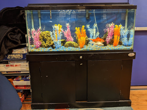 Pet Supply Store «Aquarius Aquariums», reviews and photos, 214 Riverside Dr #511, New York, NY 10025, USA