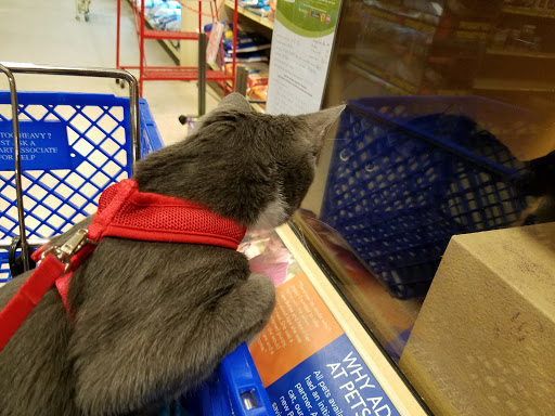 Pet Supply Store «PetSmart», reviews and photos, 4810 1st Ave NE, Cedar Rapids, IA 52402, USA