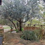 Photo n°5 de l'avis de Leonardo.c fait le 02/12/2018 à 21:18 sur le  Il Pozzo Di Ferri à Montenovo