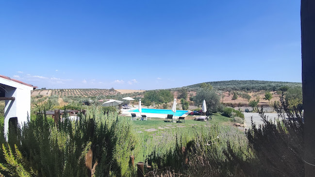 Monte da Estrela, Courela das Antas, Aldeia da Estrela, 7885-201 Estrela