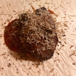 Photo n°14 de l'avis de Brigitte.a fait le 31/10/2023 à 21:49 sur le  USHI à Munich