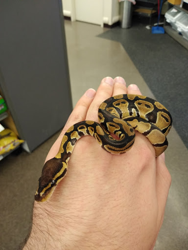 Pet Supply Store «Pet Supplies Plus», reviews and photos, 12407 MoPac Expy 525 - B, Austin, TX 78758, USA