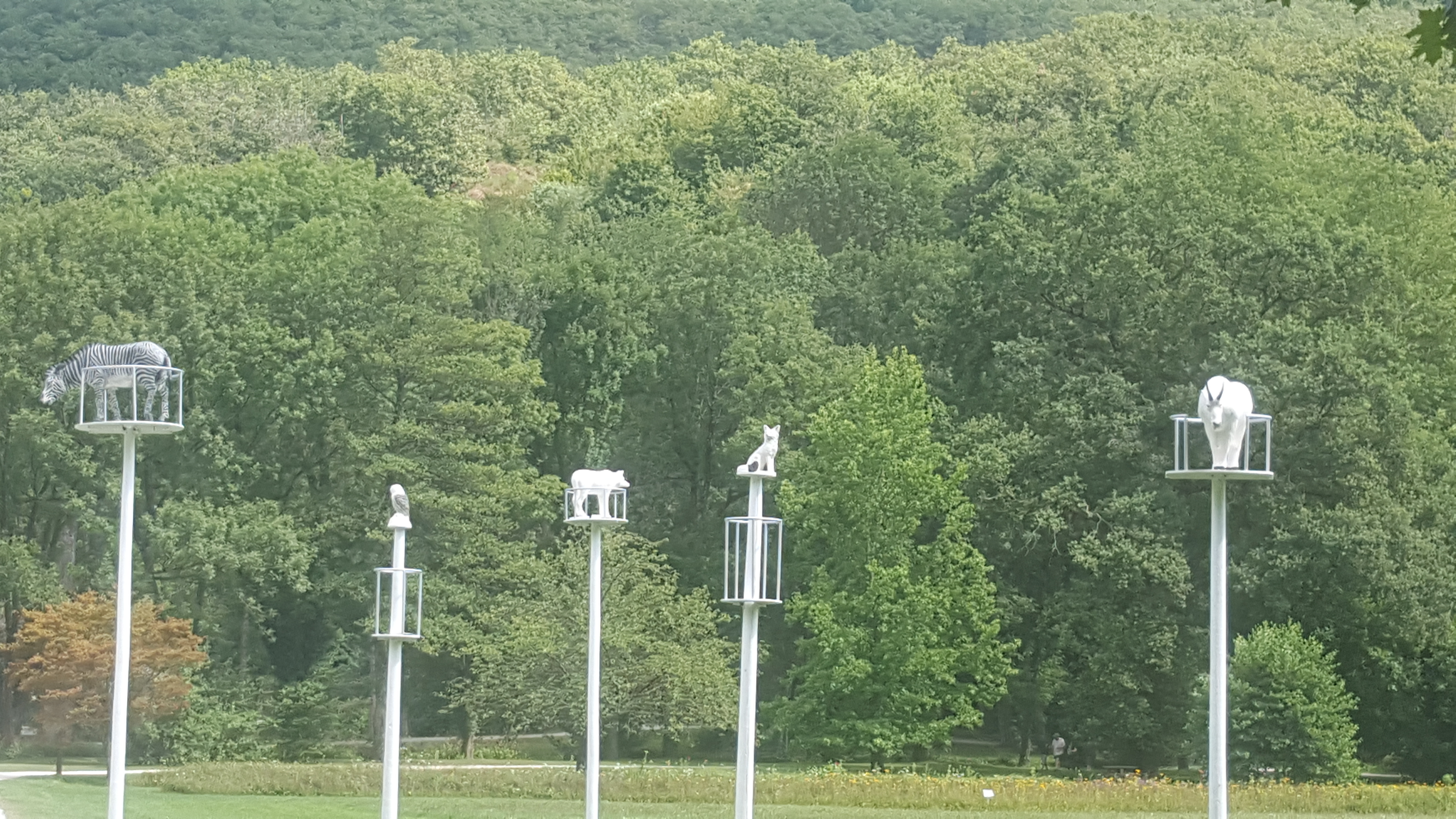 Photo n° 6 de l'avis de marie.e fait le 11/08/2019 à 14:28