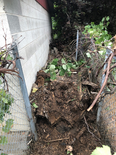 Waste Management Service «1-800-GOT-JUNK? Salt Lake City», reviews and photos