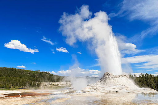 National Park «Yellowstone National Park», reviews and photos