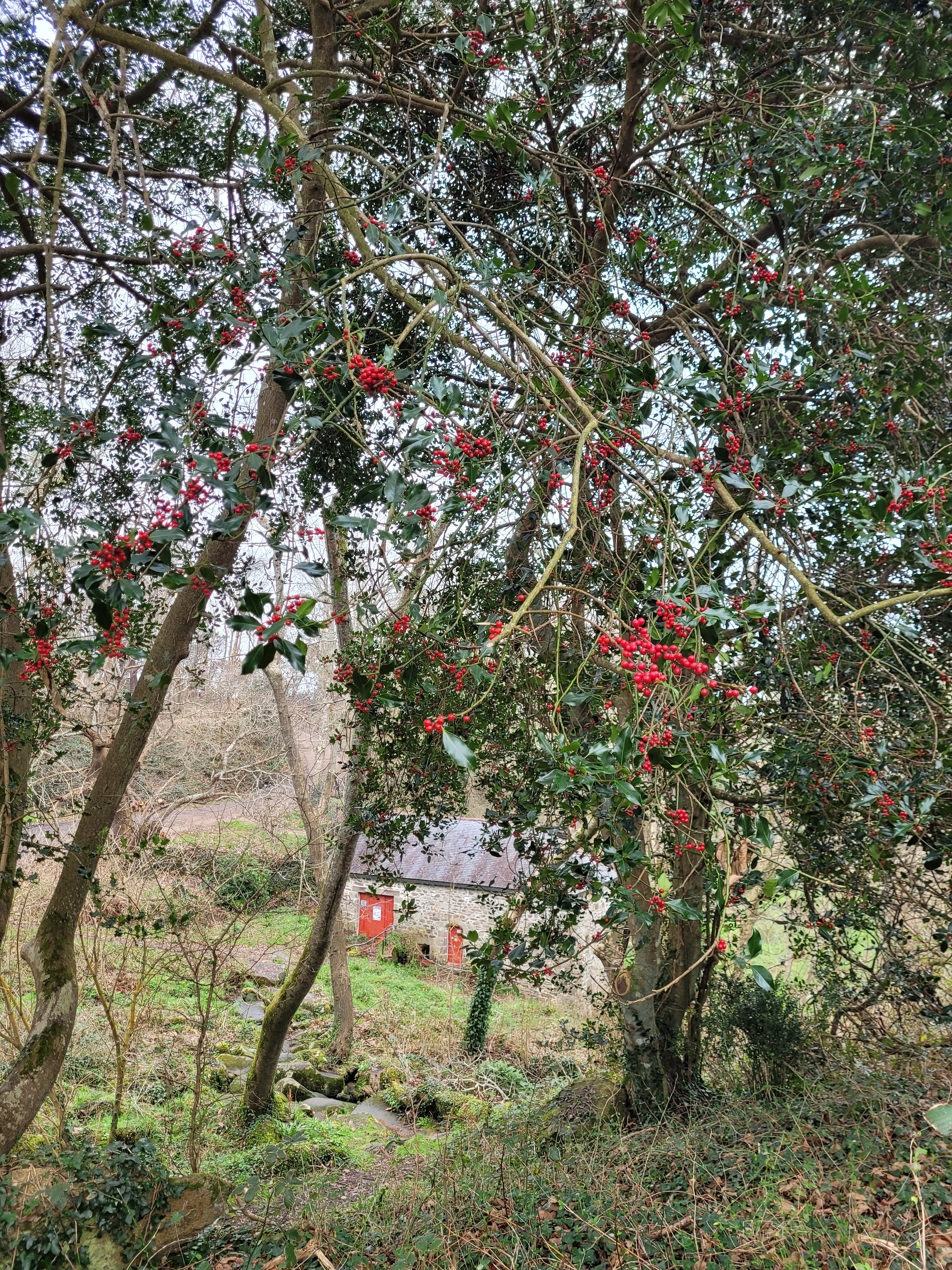 Photo n° 1 de l'avis de Bérangère.e fait le 26/12/2023 à 19:30