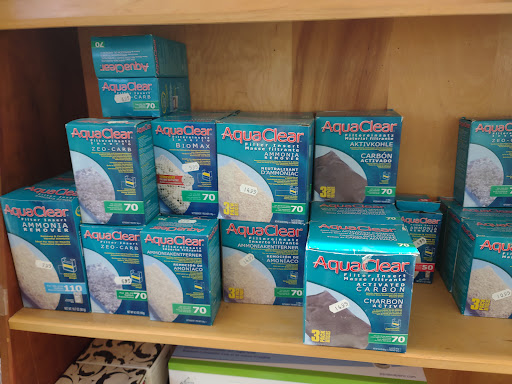 Aquarium Shop «Something Fishy Inc.», reviews and photos, 4764 State Rd, Cleveland, OH 44109, USA