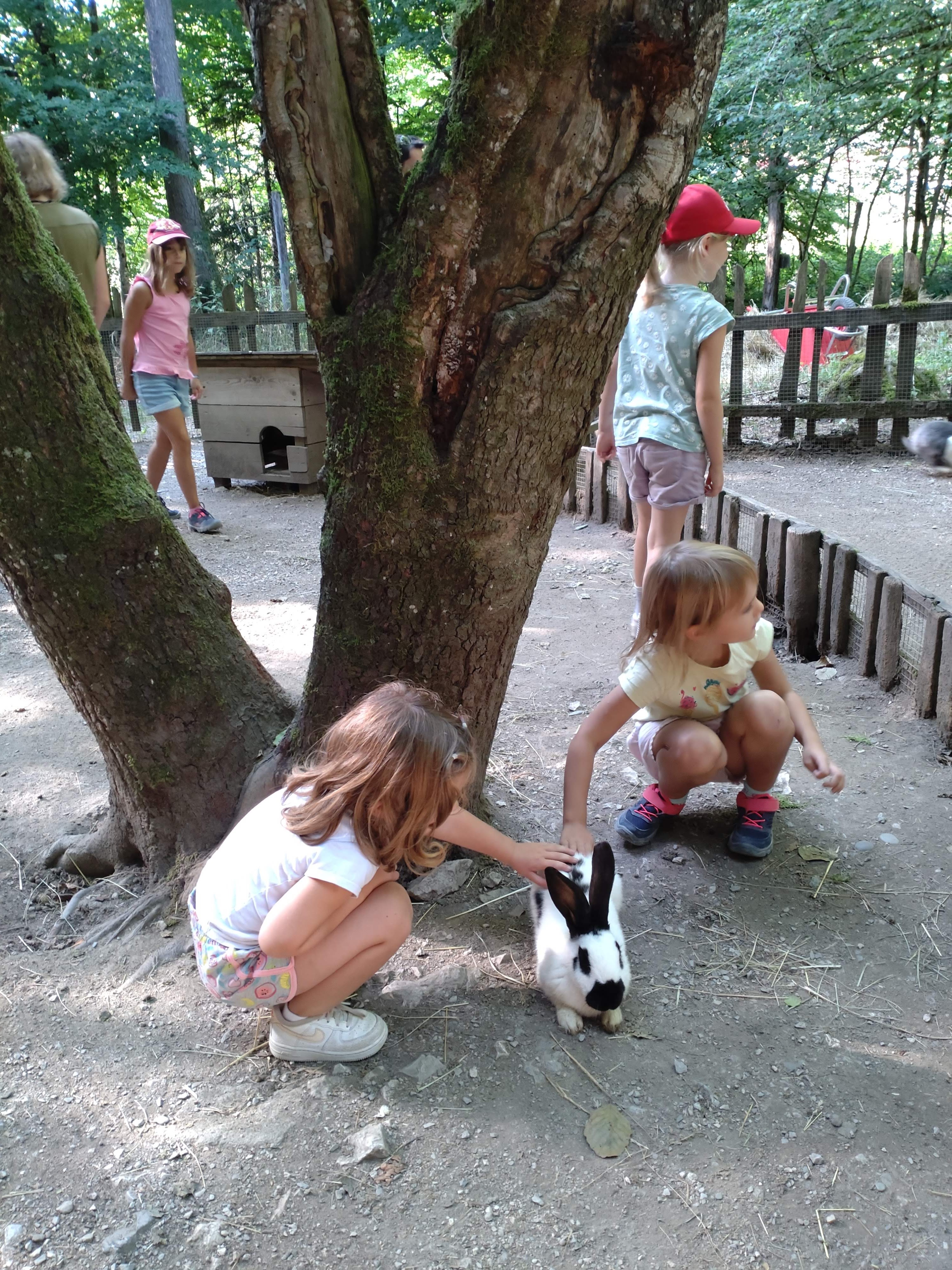 Photo n° 5 de l'avis de Christine.u fait le 11/08/2022 à 10:08