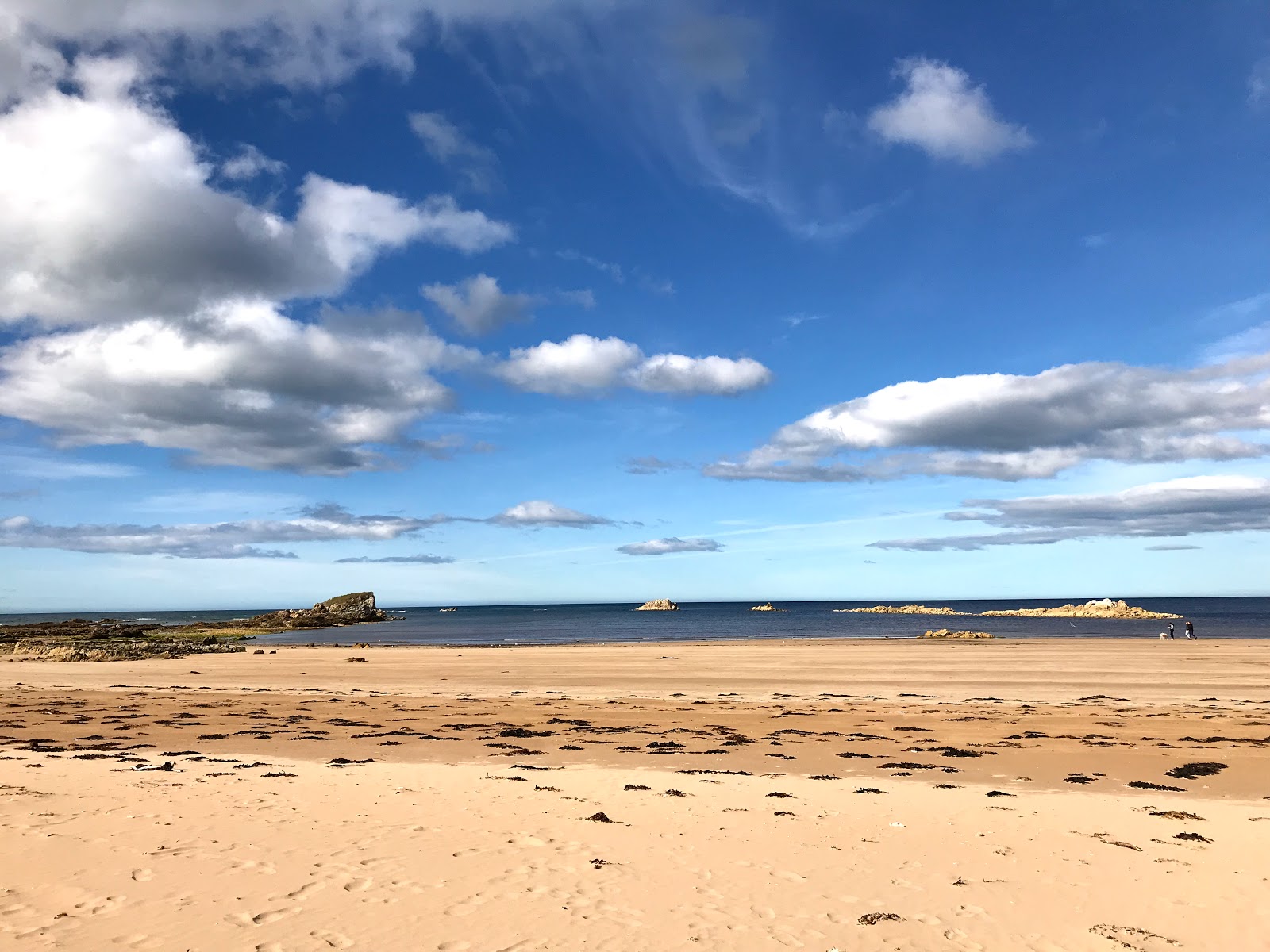Foto de Picnic Point Beach com areia bege superfície