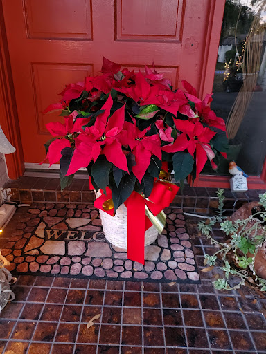 Florist «Carrollwood Florist», reviews and photos, 11745 N Dale Mabry Hwy, Tampa, FL 33618, USA