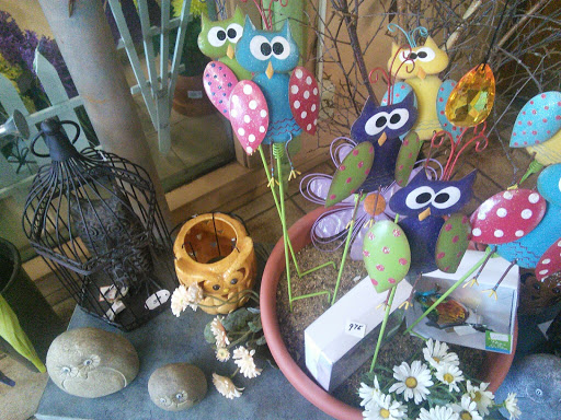 Florist «Pletschers», reviews and photos, 641 Old Hwy 8 SW, New Brighton, MN 55112, USA