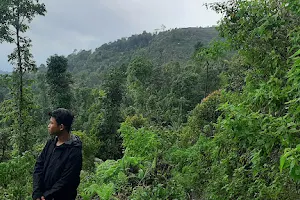 Pendakian Gunung Karang image