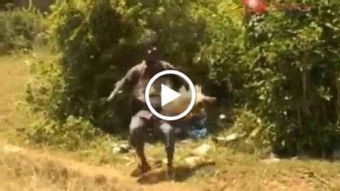 Dollar Store «Dollar Tree», reviews and photos, 1160 Havendale Blvd NW, Winter Haven, FL 33881, USA