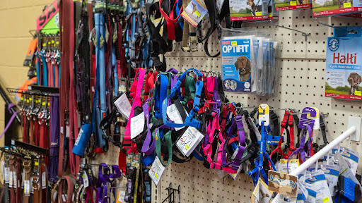 Pet Supply Store «Wags To Wiskers Pet Supplies», reviews and photos, 2423 W Stadium Blvd, Ann Arbor, MI 48103, USA
