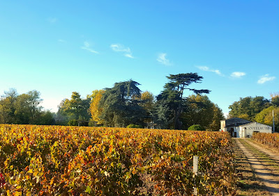 Château Cantelaube à Saint-Émilion