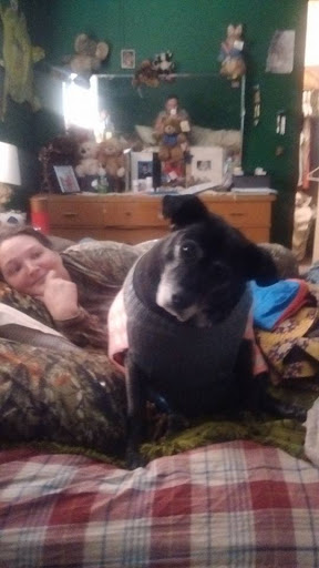 Pet Cemetery «Faithful Friends Pet Cremation», reviews and photos, 5221 8th St, Zephyrhills, FL 33542, USA