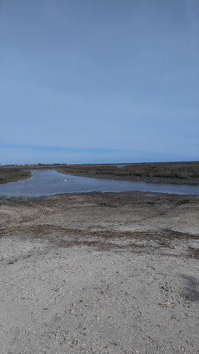 Park «Morse Park Landing», reviews and photos, 4939 US-17 BUS, Murrells Inlet, SC 29576, USA