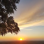 Photo n°2 de l'avis de Leonardo.e fait le 19/08/2020 à 07:58 sur le  Ristorante Il Vecchio Frantoio à Castagneto Carducci