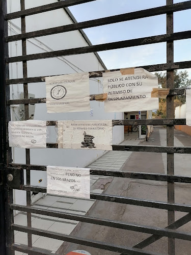 Clínica Veterinaria Municipal Puente Alto - Puente Alto