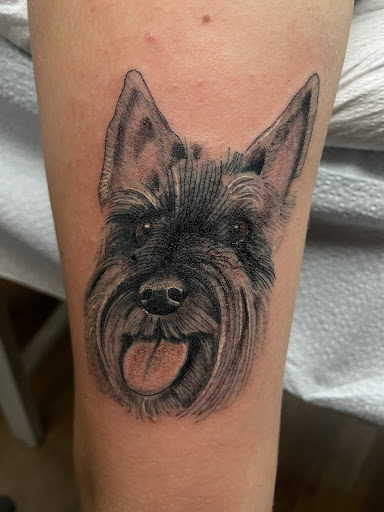 Tattoo Shop «Webbworks Tattoo Studio», reviews and photos, 2067 Pine Ridge Rd, Naples, FL 34109, USA