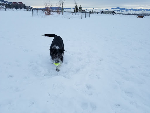 Park «Centennial Park», reviews and photos, 1200 N Last Chance Gulch, Helena, MT 59601, USA