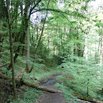 Photo n°24 de l'avis de Stefan.. fait le 02/05/2018 à 07:43 sur le  Klingenmühle à Welzheim