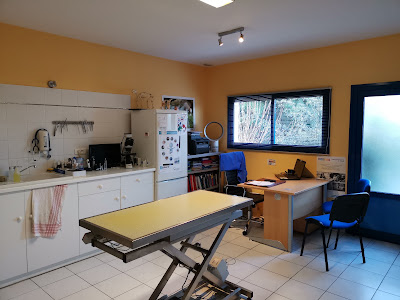 Cabinet vétérinaire médico-chirurgical du Dr Deweer Mathieu à Villeréal