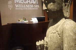 Meghavi Wellness Spa - Le Méridien Nagpur image