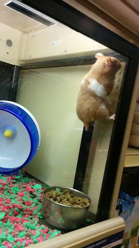 Pet Supply Store «PetSmart», reviews and photos, 5722 Fairmont Pkwy, Pasadena, TX 77505, USA