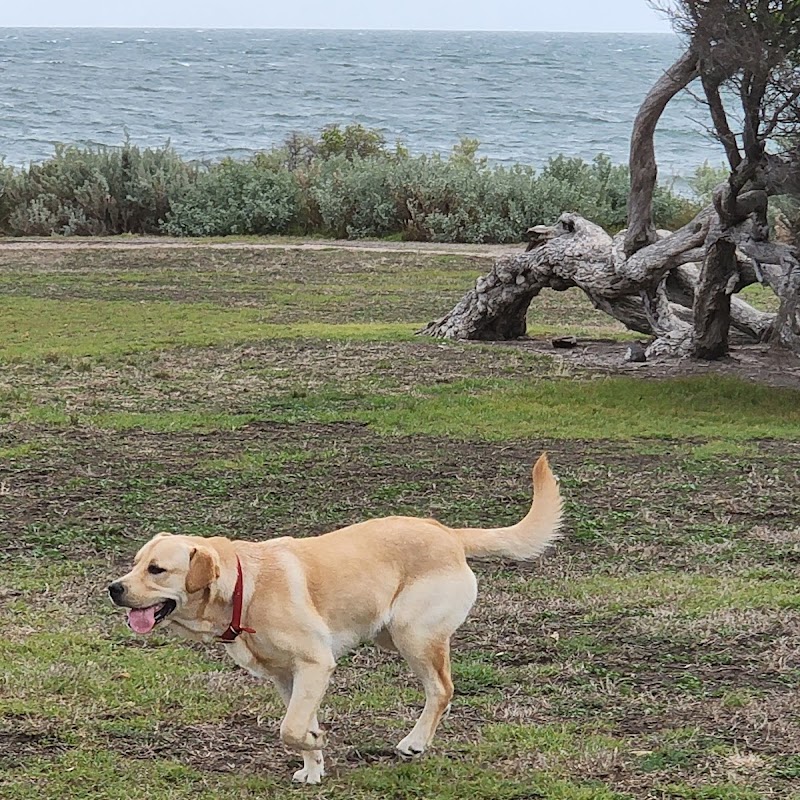 Cyril Curtain Reserve Dog Off Leash Area