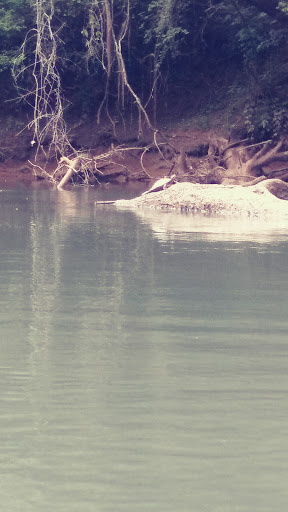 Golf Club «The Hooch Golf Club», reviews and photos, 2705 Peachtree Industrial Blvd, Duluth, GA 30097, USA