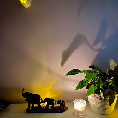Clarisse GUIGON, Praticienne en Ayurveda à Chessy