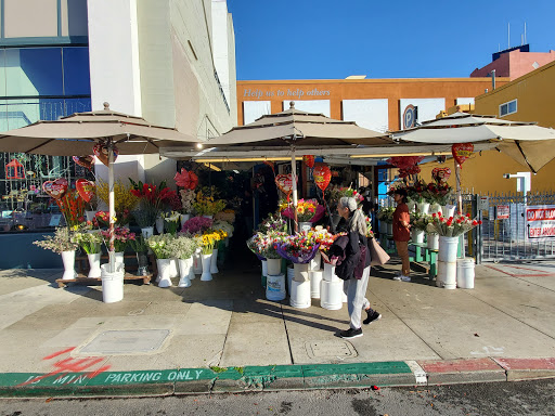 Florist «Ever Bloom Fresh Flowers», reviews and photos, 508 University Ave, San Diego, CA 92103, USA