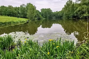 High Woods Country Park image