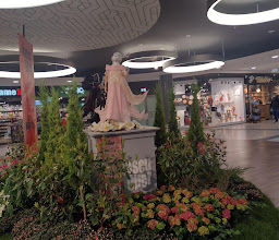 ALDI Nord photo