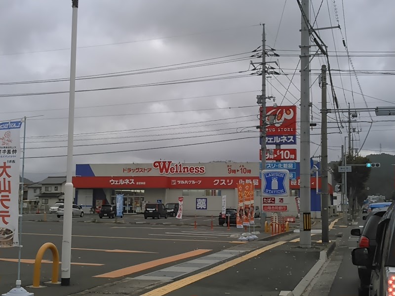 ドラッグストアウェルネス 倉吉東店 鳥取県倉吉市下田中町 ドラッグ ストア 医療機関 グルコミ
